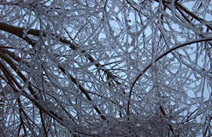 Looking up through a maze of ice-tubes (A Very Frozen Day)