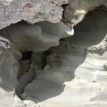 Puget Sound Limestone (David's Textures Gallery)