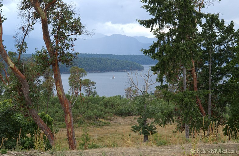 Another view from Galiano Island (Nikon D1x Photos)