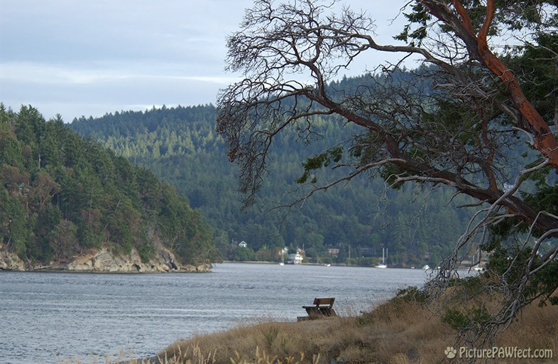 South Galiano Island (Nikon D1x Photos)