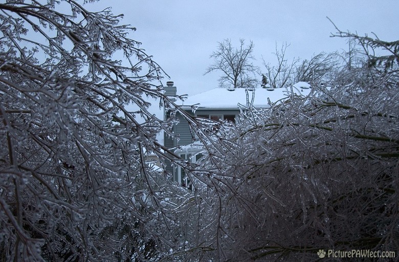 Our house as seen from the ice garden (A Very Frozen Day)