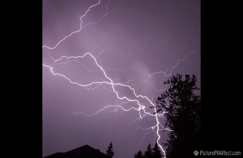 Hovering Lightning Storm (Hovering Lightning Storm)