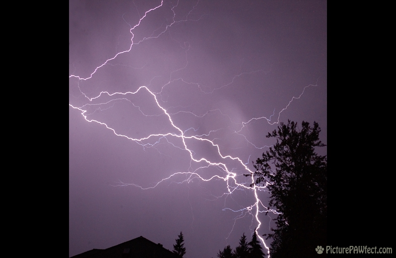 Hovering Lightning Storm (Hovering Lightning Storm)