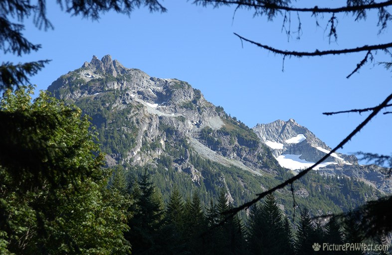 Mountaintop near WHistler, B.C. Canada (Nikon D1x Photos)