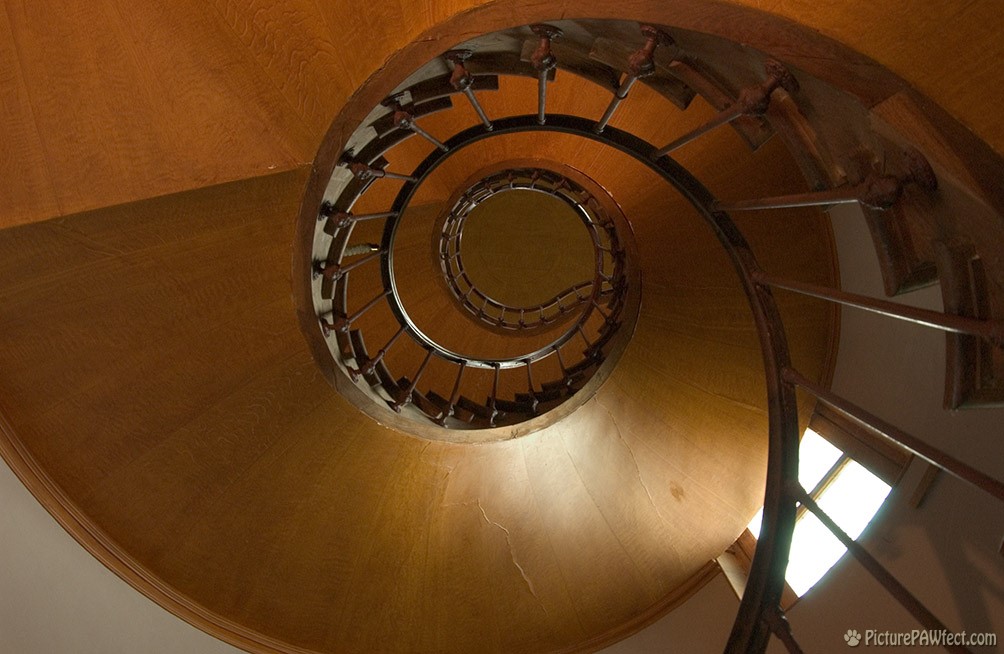 Spiraly staircase found so commonly throughout France (David's France Gallery)