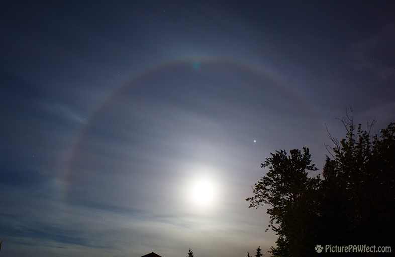 Moon Halo with Venus at 01:30 (Sky & Space Gallery)