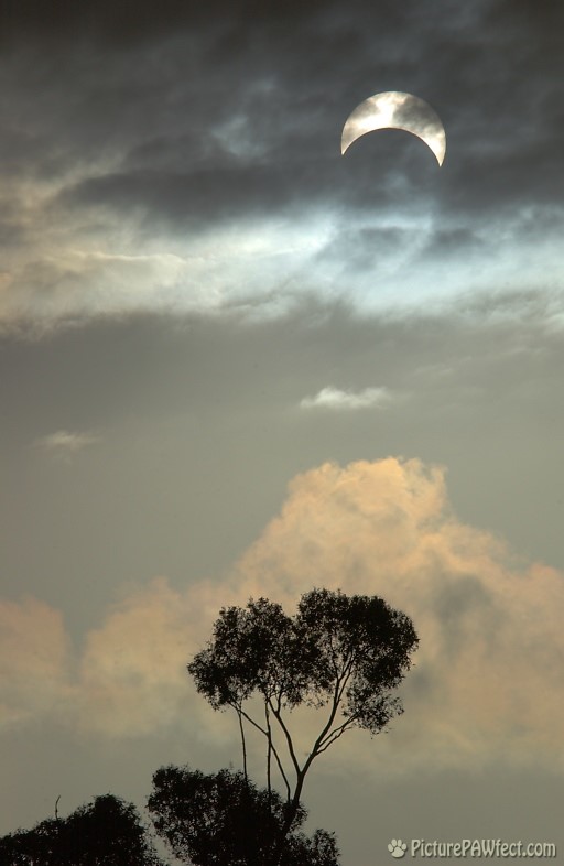 Solar Eclipse 2002 from Adelaide, Australia (Sky & Space Gallery)