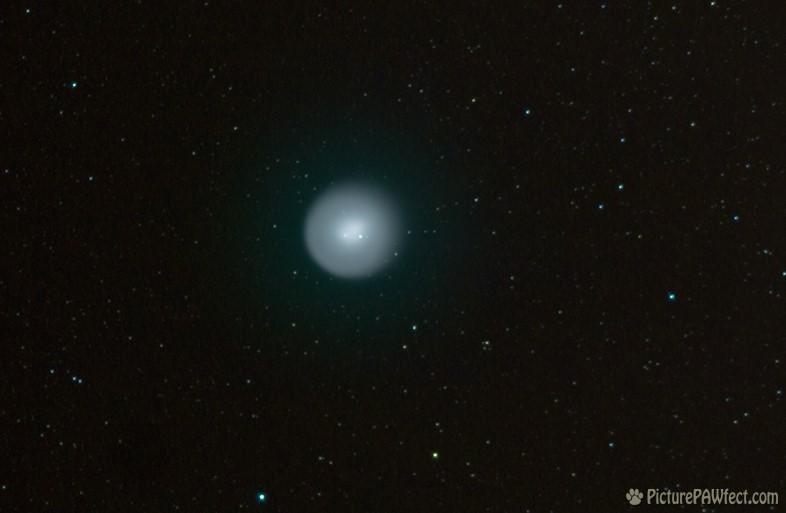 Comet Holmes on November 1st (Sky & Space Gallery)