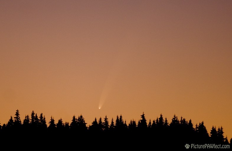 A sunset Comet McNaught on January 11, 2007 (Sky & Space Gallery)