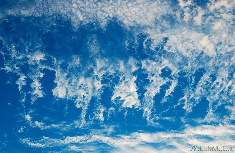 Clouds (Textures)