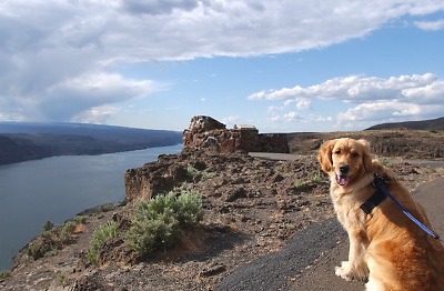 As your tour guide, I welcome you to the Columbia river. (Genevieve's Summer 2002)