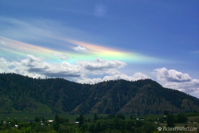 Circumhorizon Arc, June 27, 1999<a href=http://www.atoptics.co.uk/halo/cha.htm> <i>(Here's Why...)</i></a> (Sky & Space Gallery)