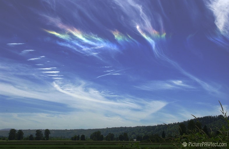 Feathery Circumhorizon Arc, July 3, 2001</a> (Sky & Space Gallery)