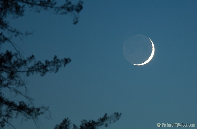 Crescent Moon on June 27th, 2006 (Sky & Space Gallery)