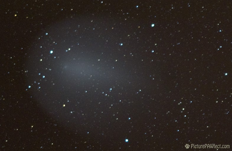 Comet Holmes on December 7th (Sky & Space Gallery)