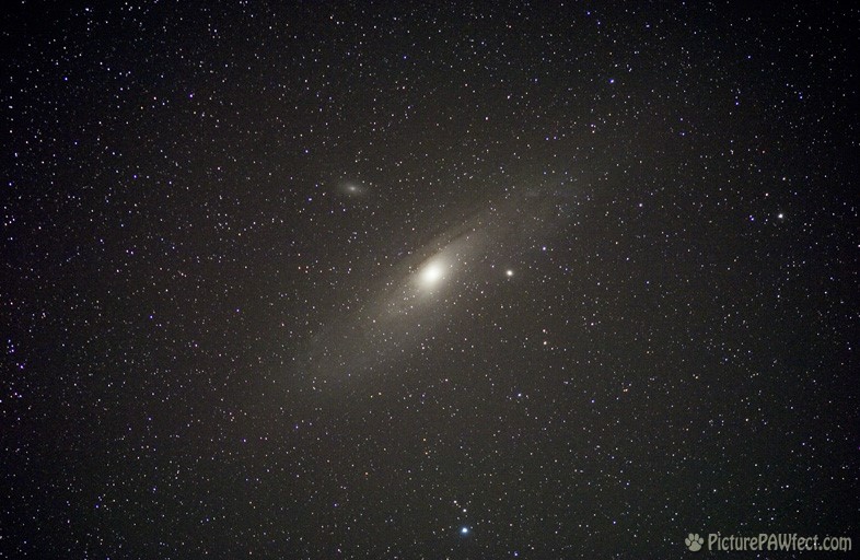 M31 in Andromeda (Sky & Space Gallery)