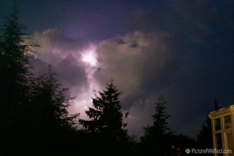 Lightning in our back yard (Sky & Space Gallery)