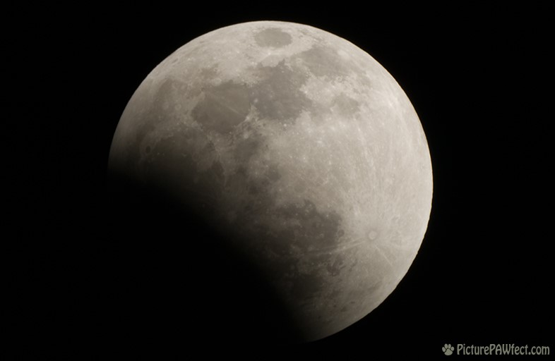 Lunar Eclipse of August 28, 2007 (Sky & Space Gallery)