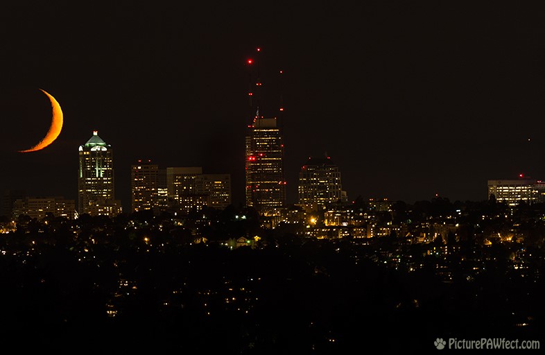 Moon and Venus <i>in</i> Seattle (Sky & Space Gallery)