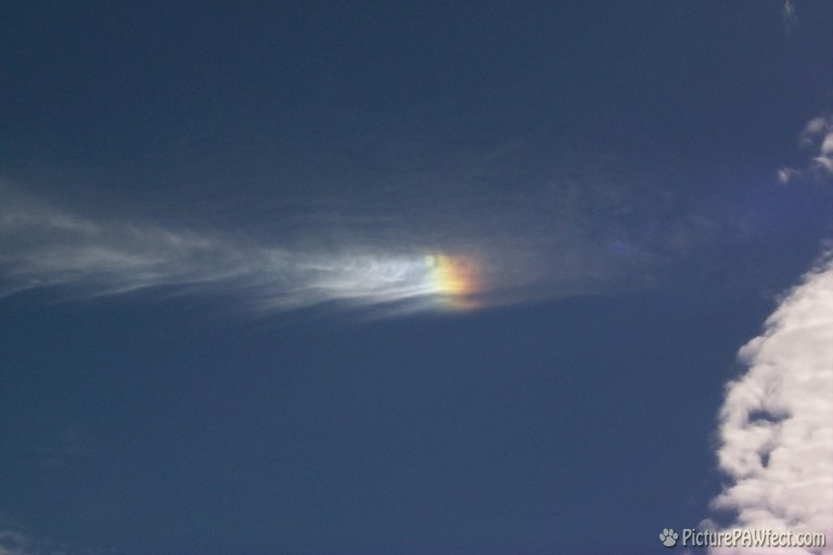 Bright Sundog (Sky & Space Gallery)